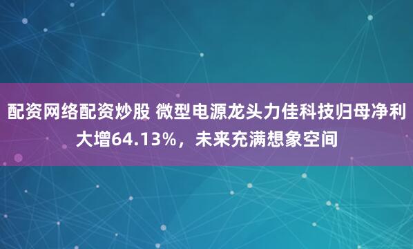 配资网络配资炒股 微型电源龙头力佳科技归母净利大增64.13%，未来充满想象空间